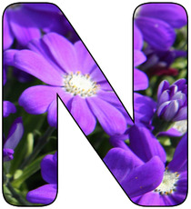 Deko-Buchstaben-Blumen_N.jpg